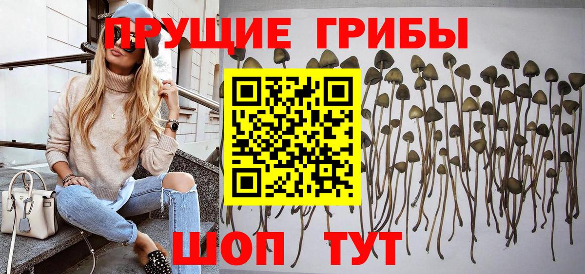 Псилоцибиновые грибы ЛСД Янаул