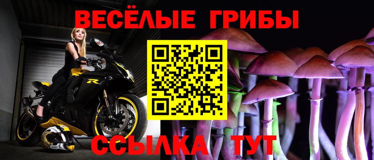 Псилоцибиновые грибы MAGIC MUSHROOMS  Псилоцибиновые грибы Psilocybe  Вход с VPN  Янаул 